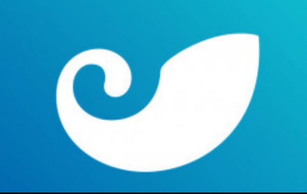 token 钱包哪个钱包最安全(token钱包app)